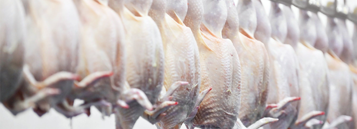 Patkol Food Meat & Poultry Processing